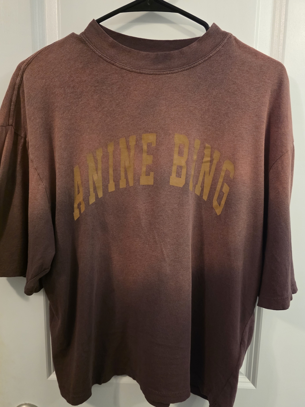 ANINE BING Ombre Logo Tee